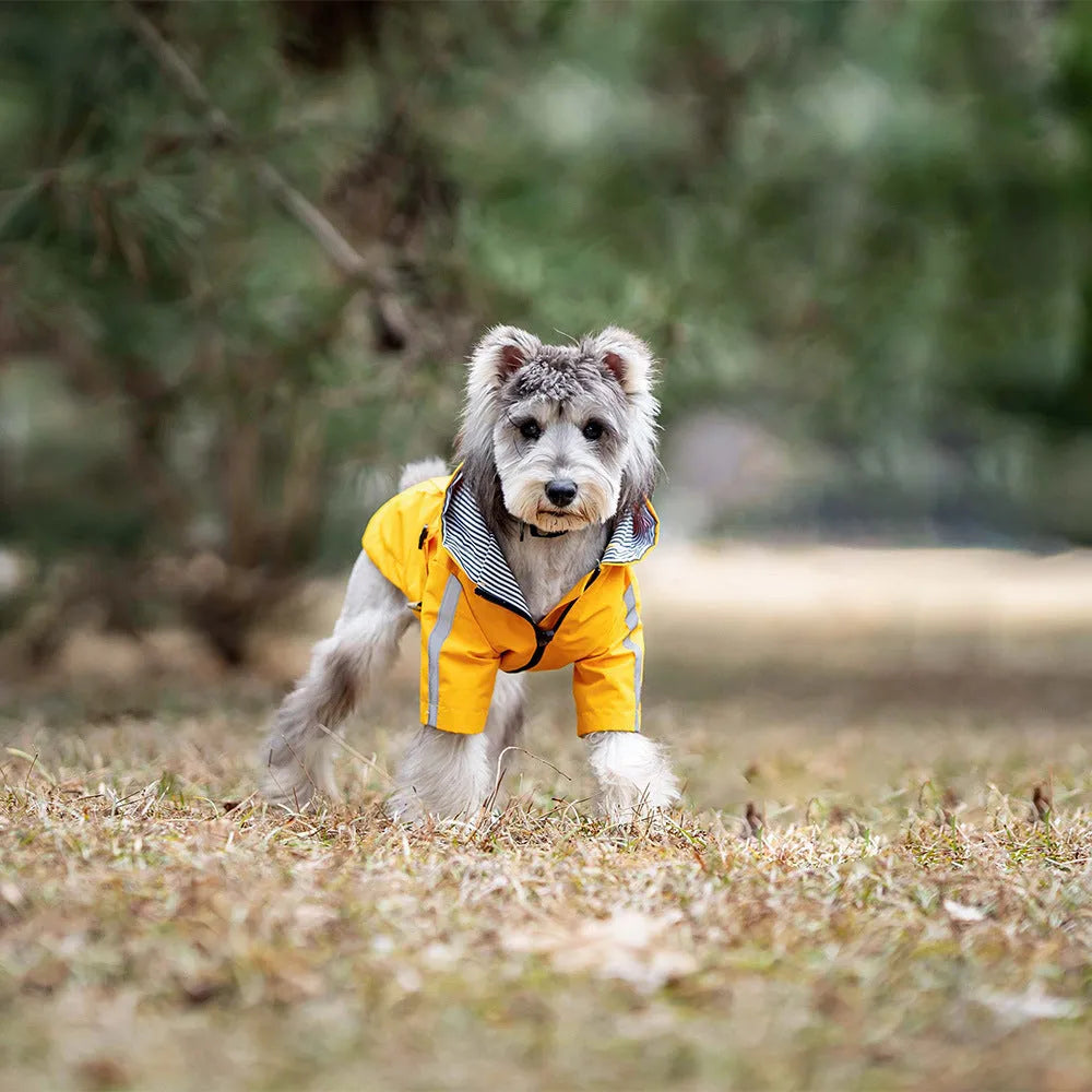 Pet waterproof raincoat in khaki with reflective details, polyester fabric, sized for dogs XS to 2XL