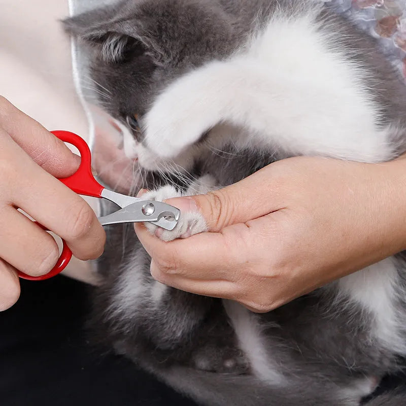Stainless steel pet nail clippers with coloured plastic rubber handle for dog cat grooming
