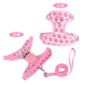 Reflective vest-style dog walking leash in avocado colour wrapped around a small dog's torso.