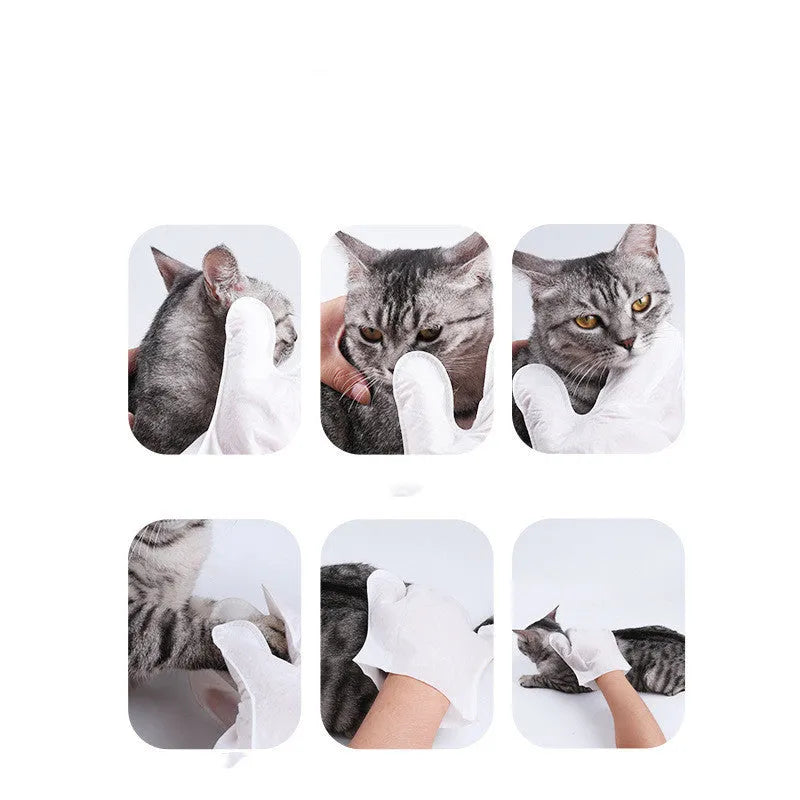 Disposable pet cleaning gloves with gentle formula for dogs and cats