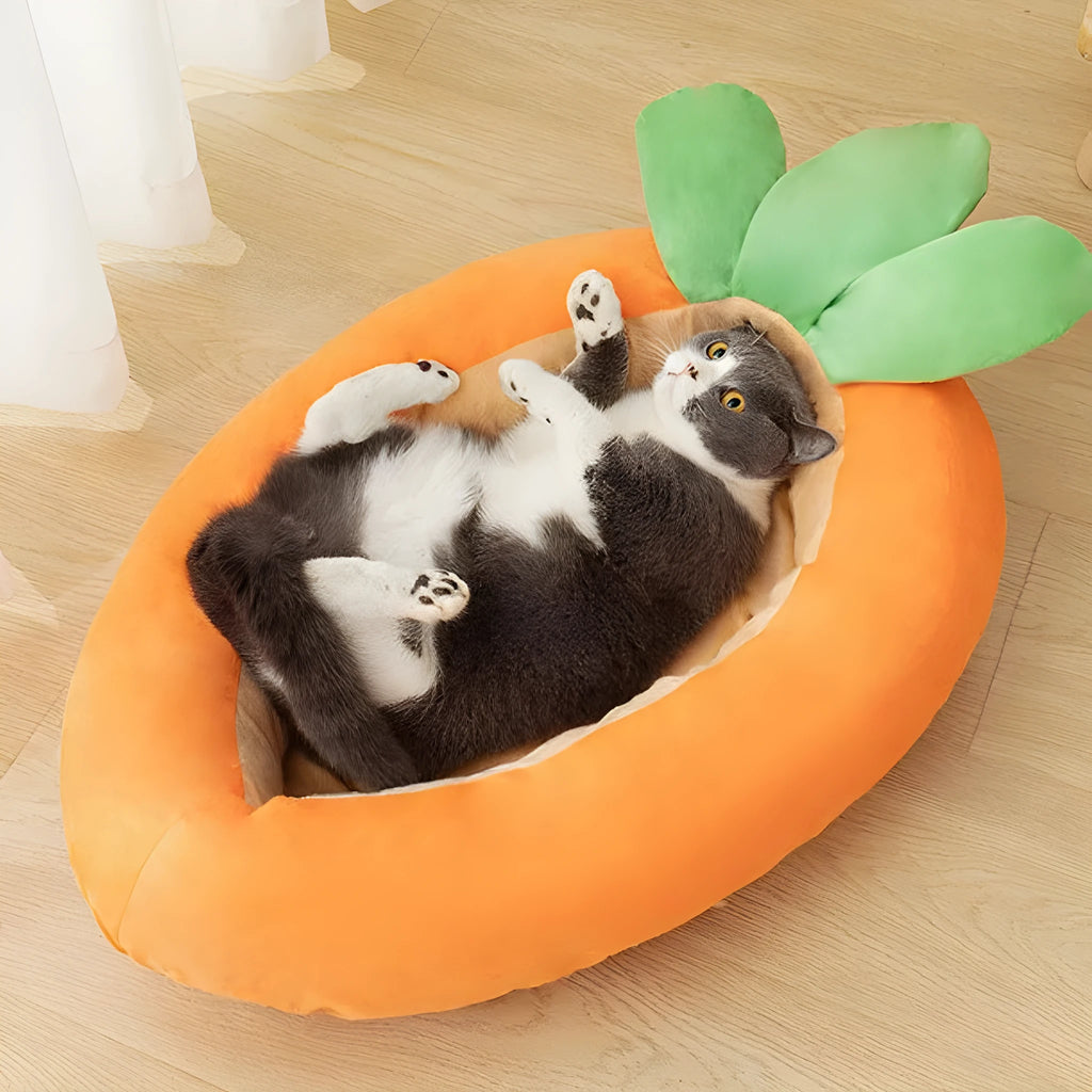 Double-sided pet mattress with removable carrot cartoon design cloth cover