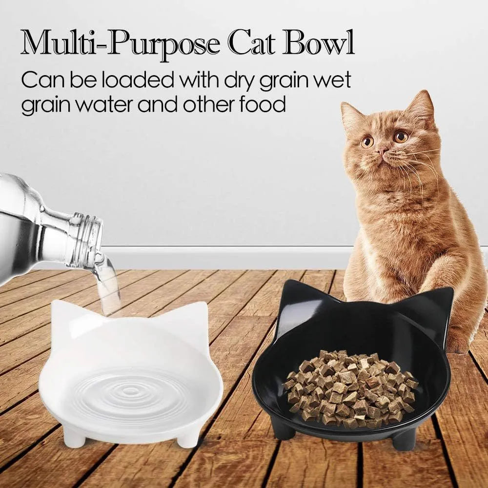 White shallow cat bowl with non-slip rubber base on a table.