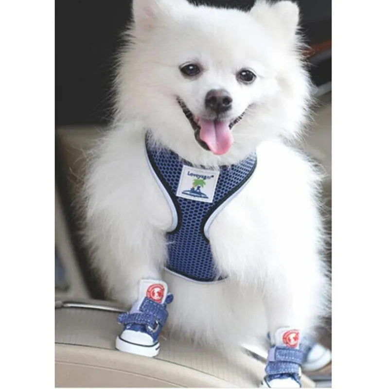 Small dog canvas shoes for poodles, blue and black, anti-slip sole, sizes No 1 to 5