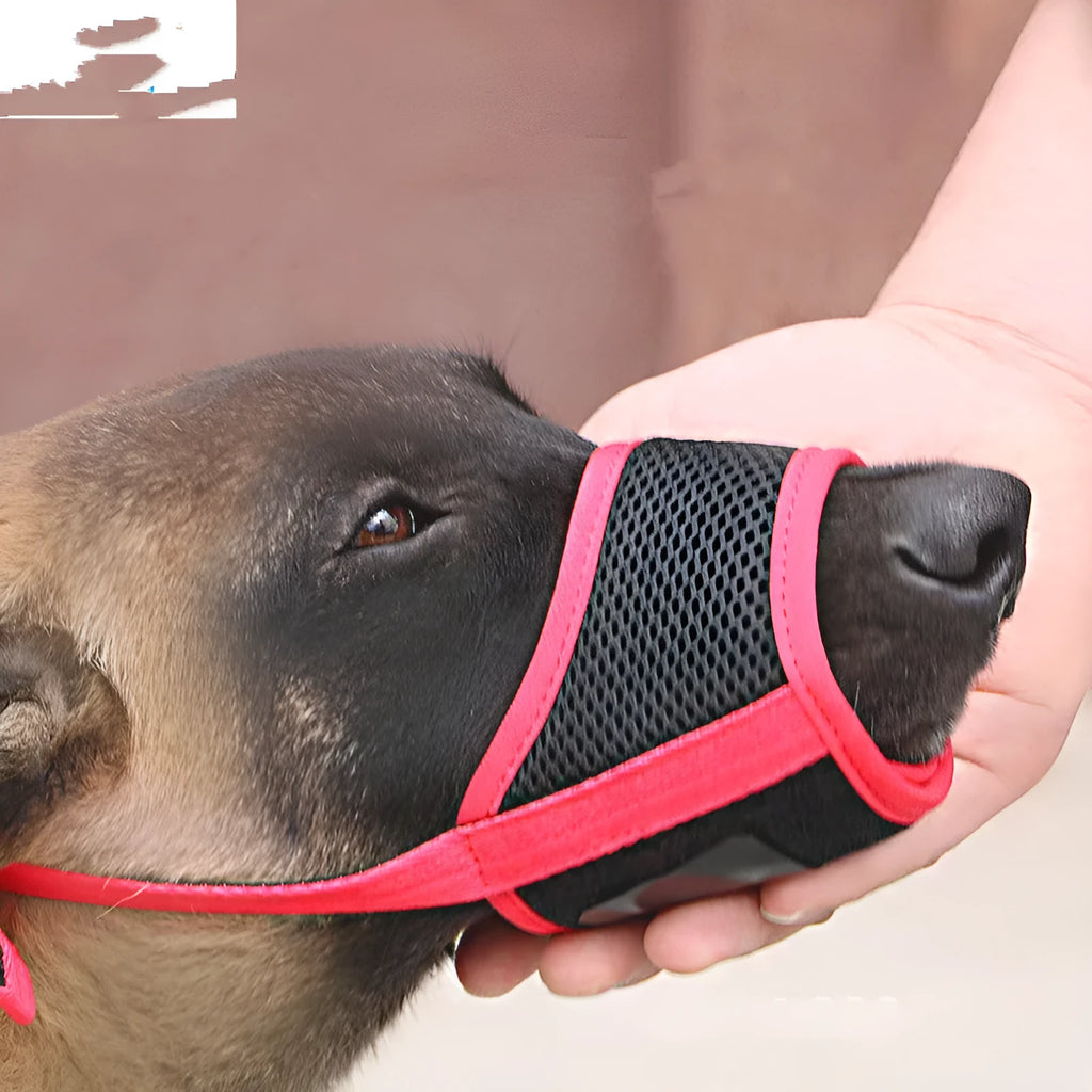 Cloth mouth cover muzzle for large Labrador dog to prevent eating indiscriminately, pendant style, luxury new black colour