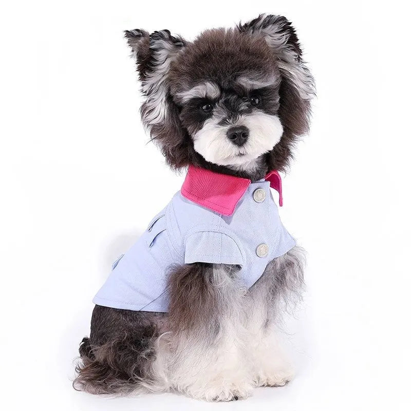 Blue and purple polyester dog vest with traction rope ring for small breeds in summer