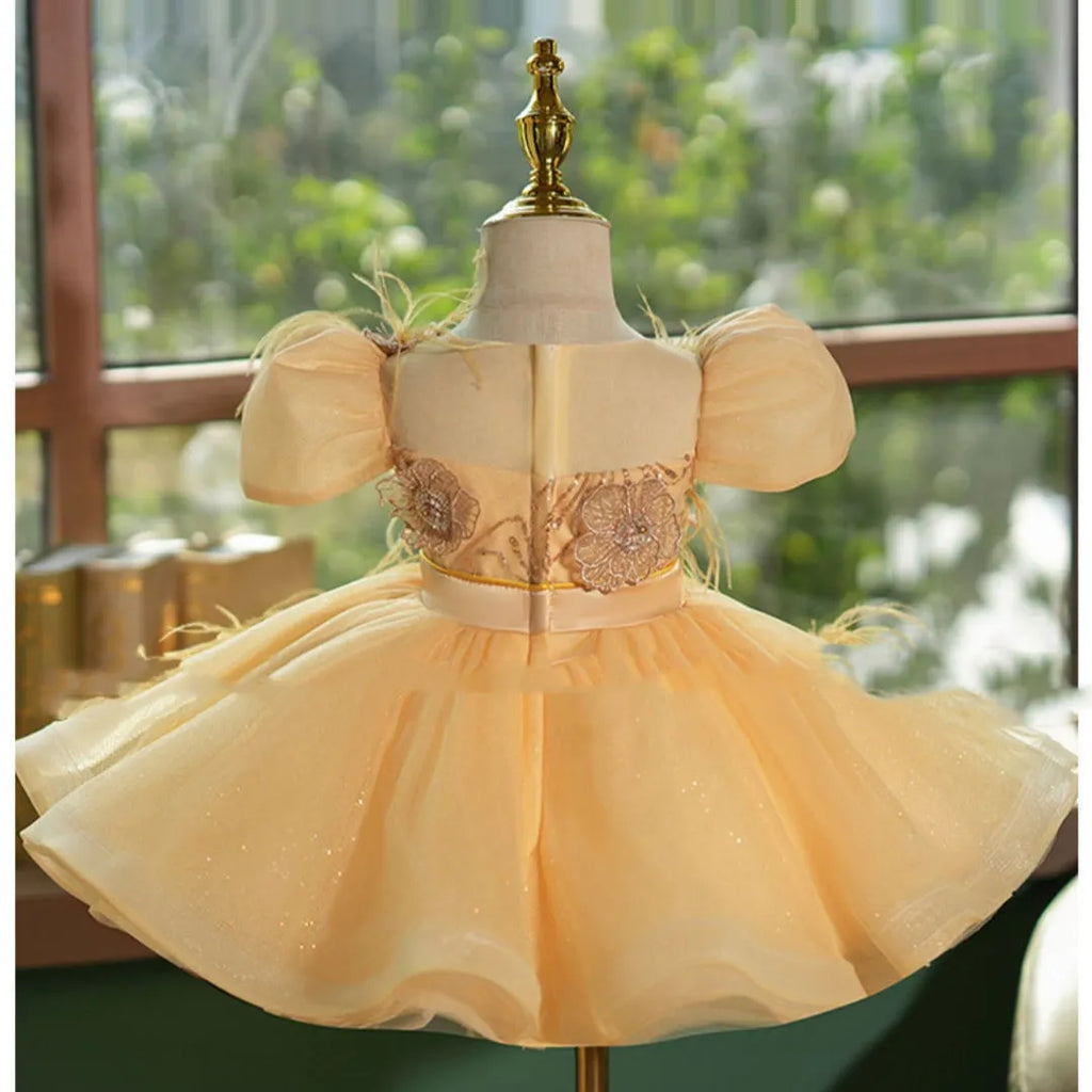 Girls champagne gold princess dress with sequins, short sleeves, round neck, and pettiskirt