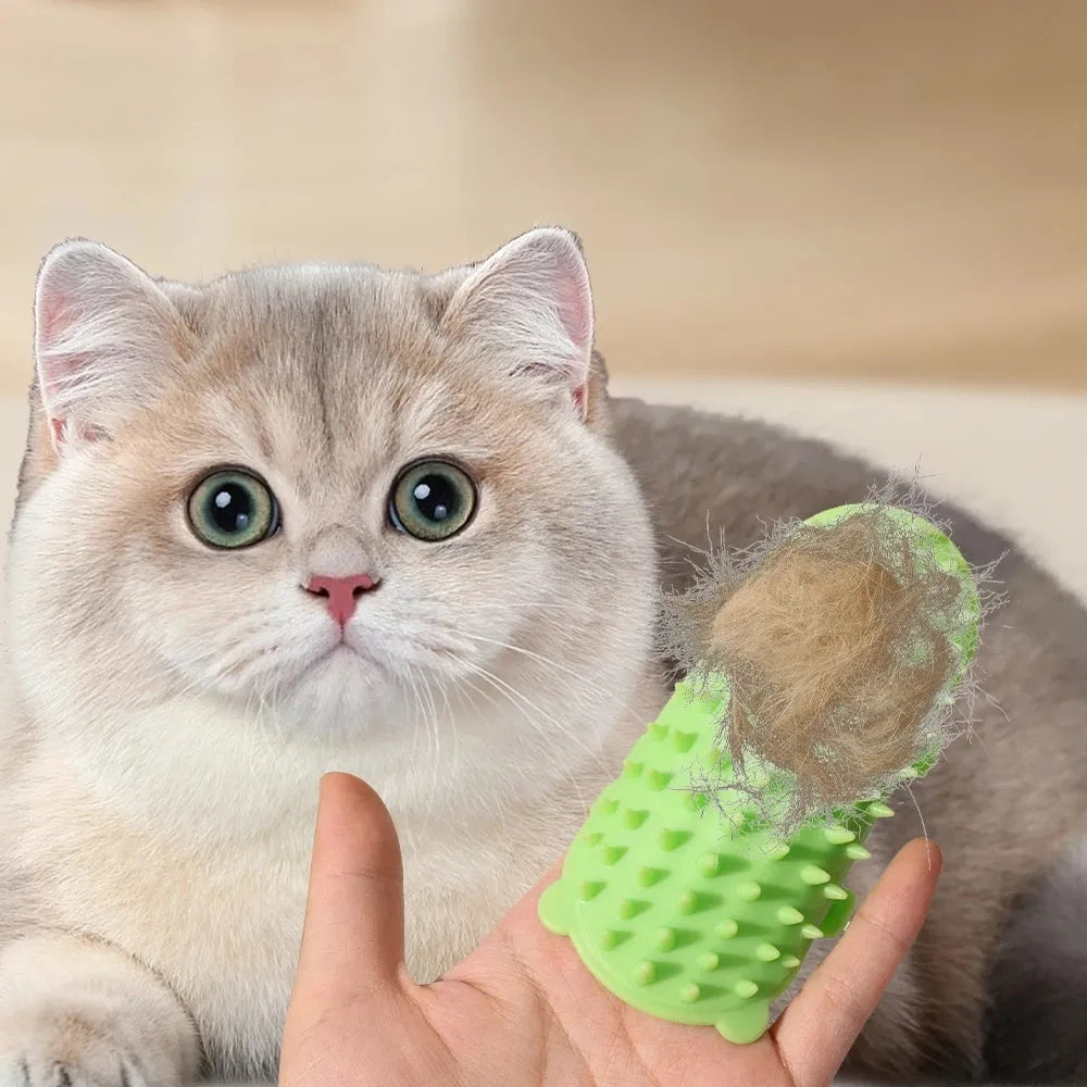 Silicone cat grooming massage comb with adjustable strap mounted on furniture leg