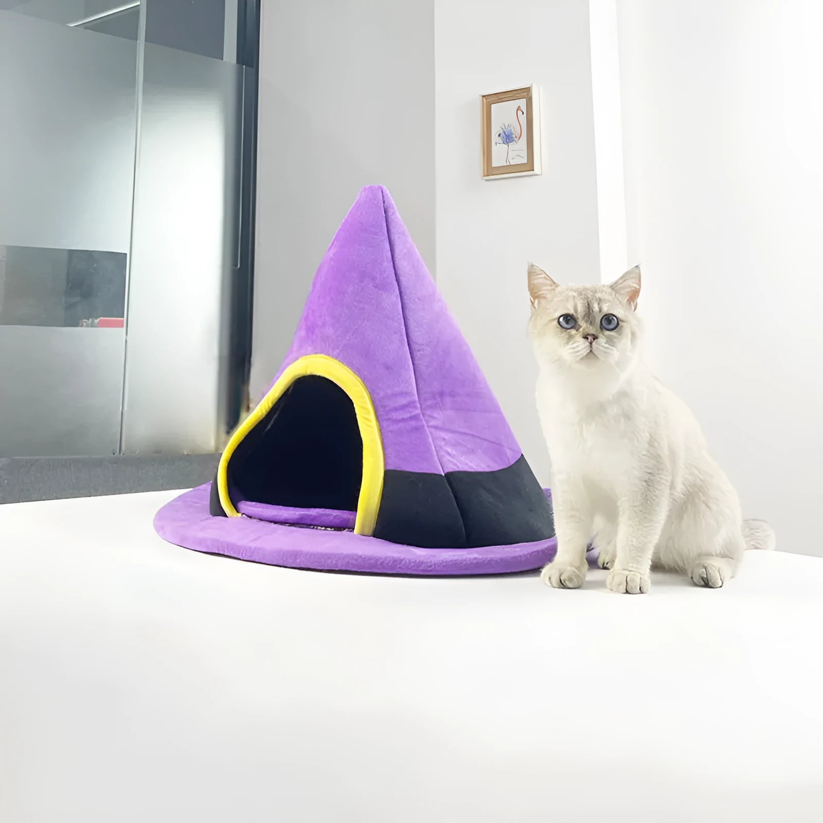 Purple Halloween witch hat shaped cloth cat bed measuring 60x45cm