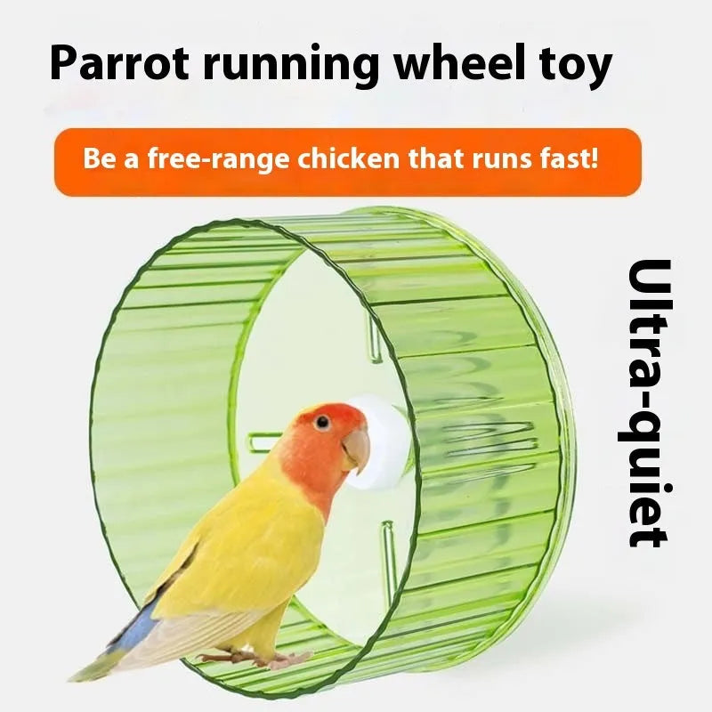 Plastic parrot running wheel toy in green, shown as a bird treadmill cage accessory.