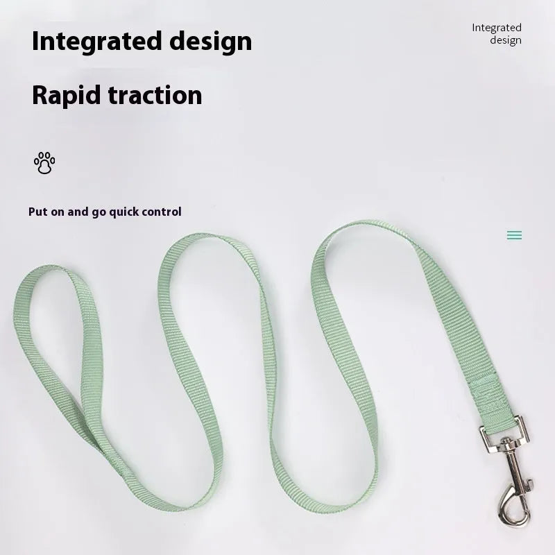 Solid colour polyester dog training rope with hand-holding loop in blue, showing length and simple construction