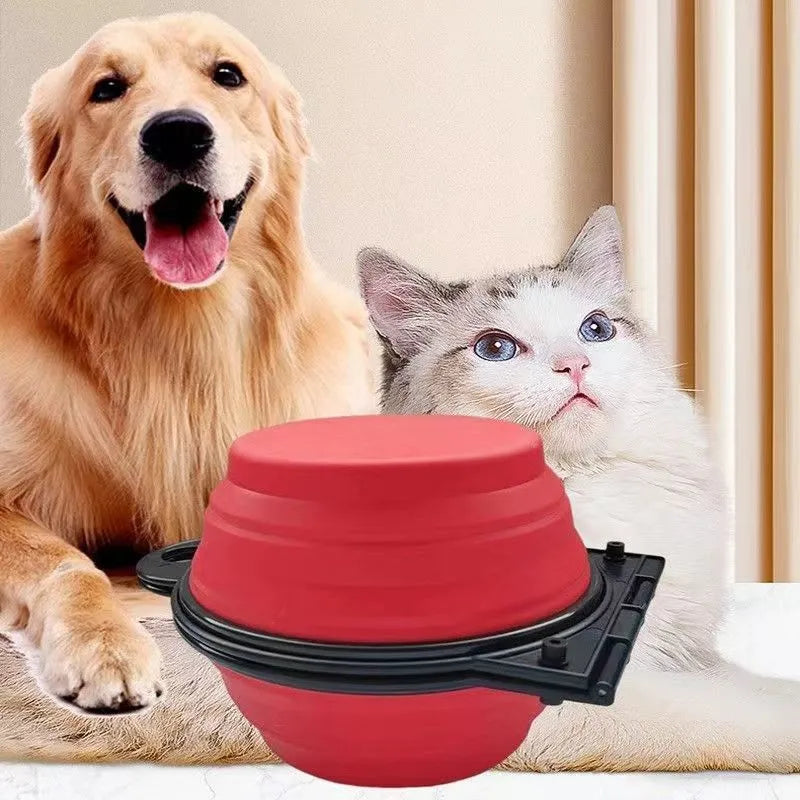 Blue silicone folding double pet bowl shown open for use and collapsed flat for storage.