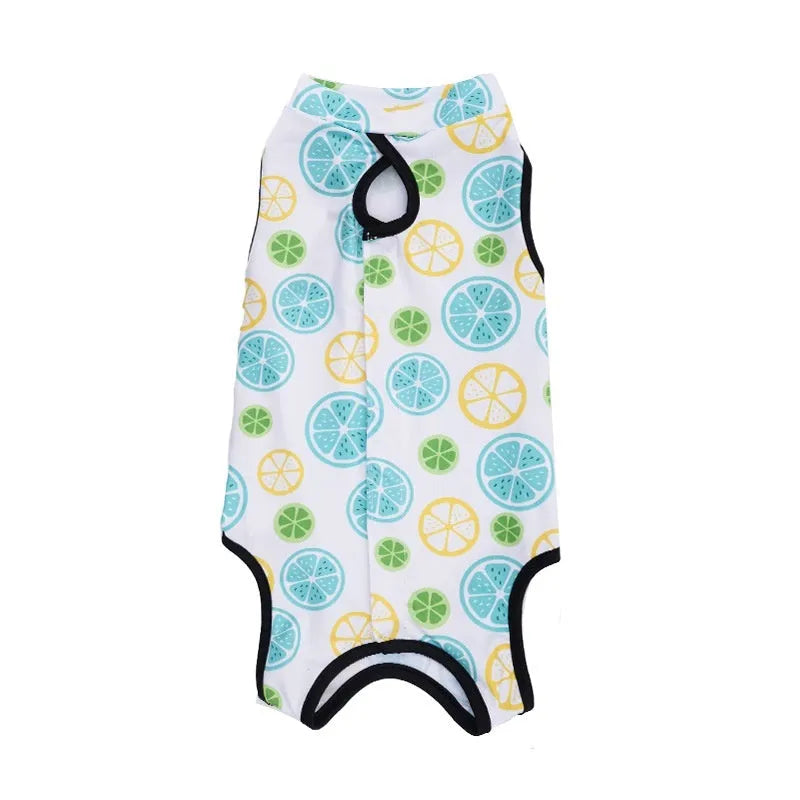 Cat wearing sterilisation recovery suit with Velcro closure in colourful print design