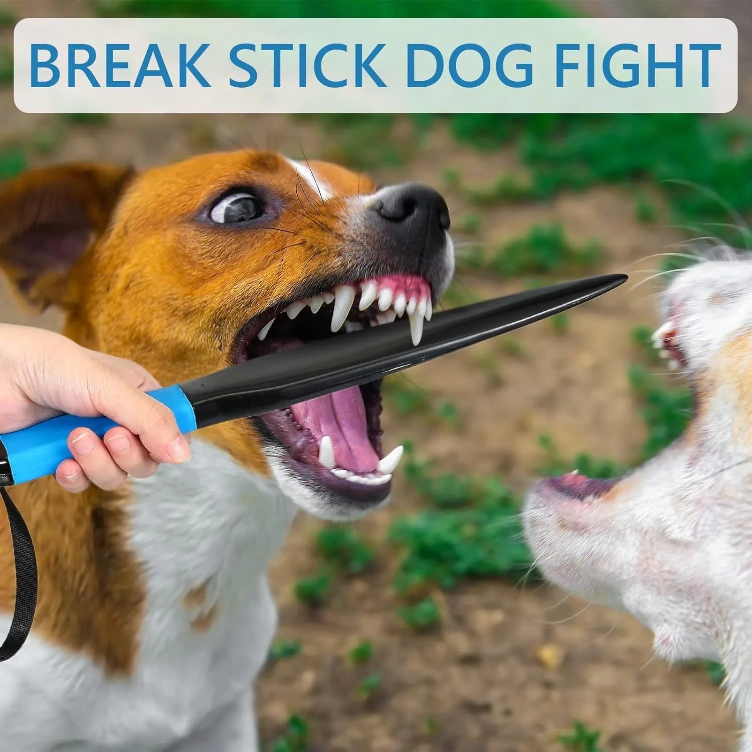 Blue handled nylon dog break stick measuring 35cm on a grass background.