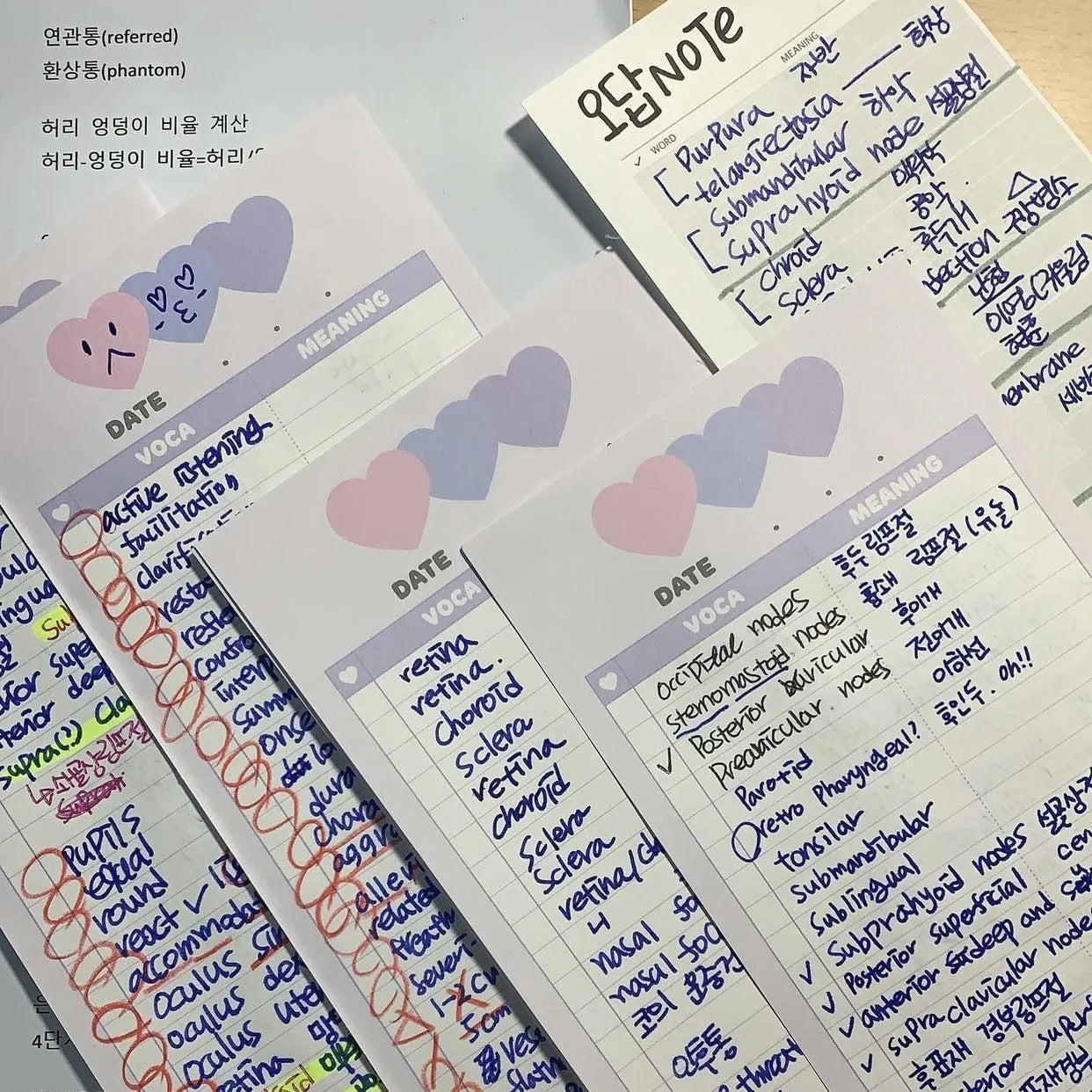 B5 half size vertical notepad for English word learning with pink, purple or blue cover options