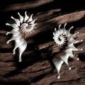 Three-dimensional matte finish conch shell stud earrings with irregular geometric design