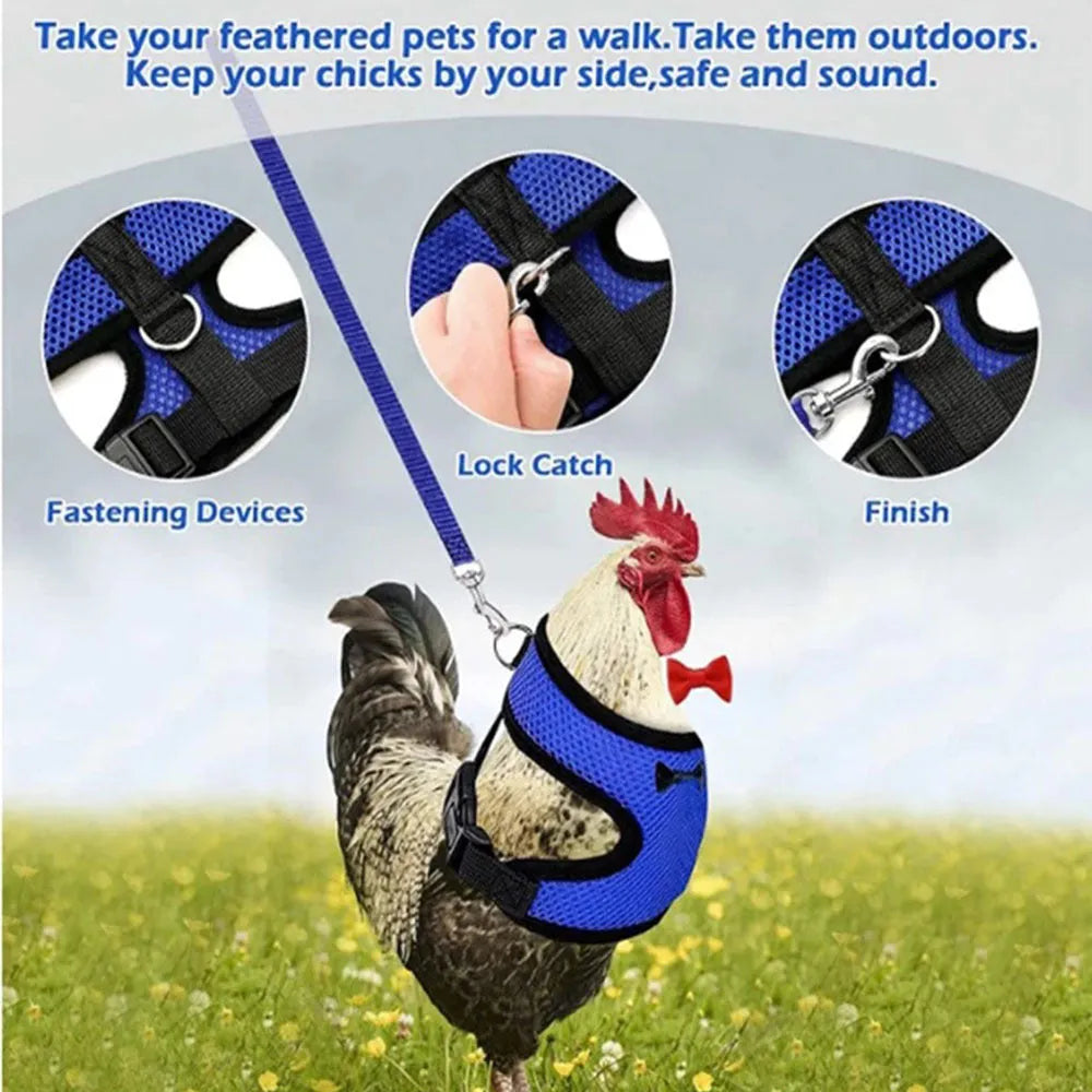 Poultry chicken vest harness with matching collar bow on a size chart showing XS to XL measurements and 110cm rope.