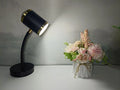 Black and white double-headed photography atmosphere lamp for live streaming studio lighting