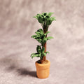 Simulation Green Plant Coin Bank Money Tree 3D Printed PLA Piggy Bank Novelty Money Storage Whole Tree Colour Home Desk Decor Savings Gift for Adults and Children