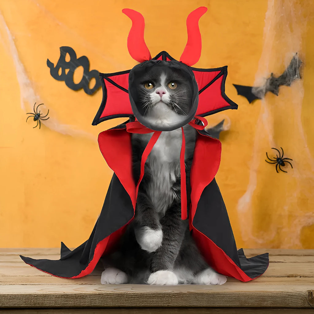 Black vampire cloak and hat Halloween costume for pet dog or cat