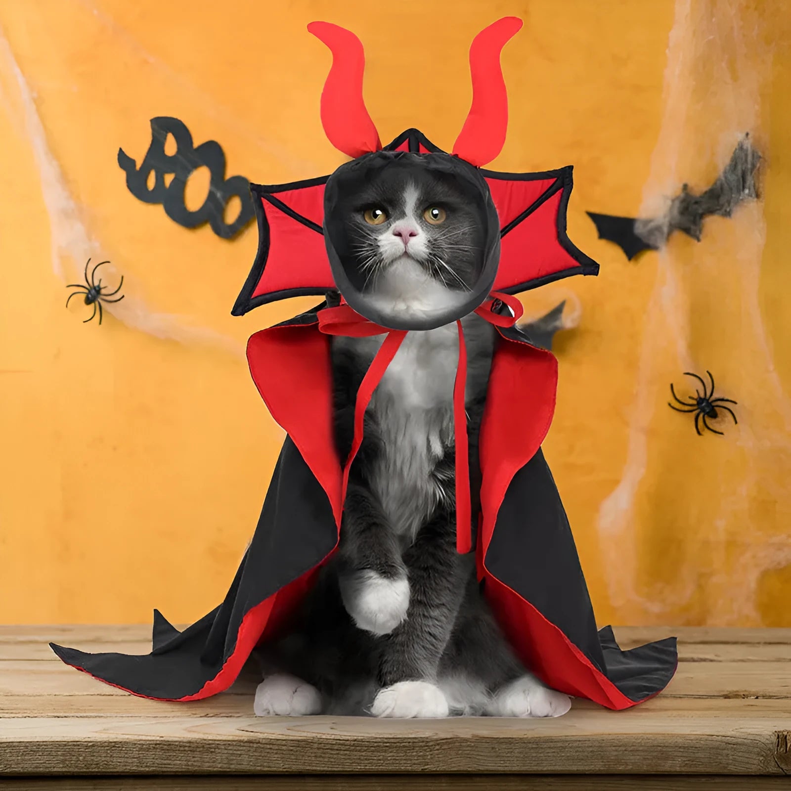 Black vampire cloak and hat Halloween costume for pet dog or cat