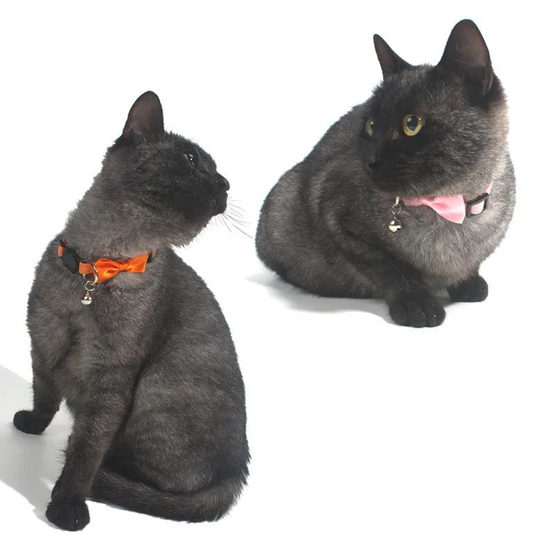 Adjustable nylon cat collar with decorative bow and bell in striped cartoon pattern, multiple colour options shown