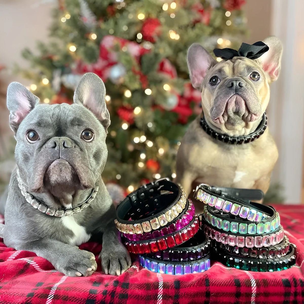 PU pet collar in multiple colours and sizes from XS to XL for dogs and cats.