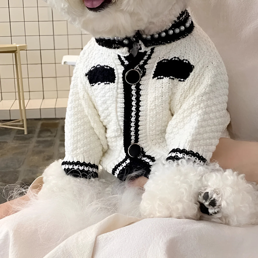 Korean style white dog sweater with pearl collar on small breed pet