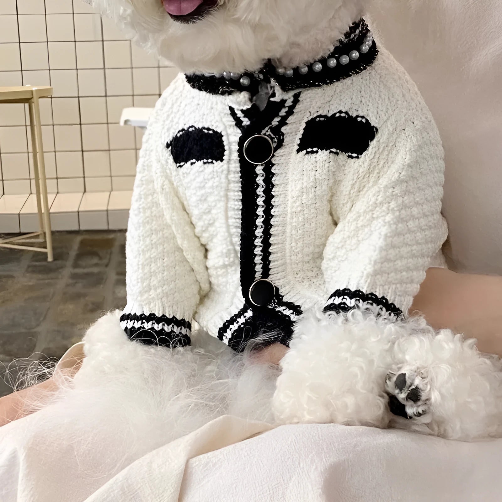 Korean style white dog sweater with pearl collar on small breed pet