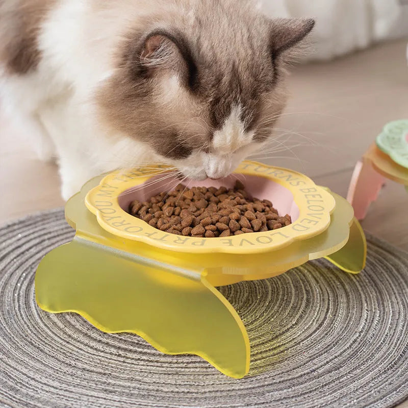 Ceramic cat bowl with anti-tumble acrylic lace in pink and blue colour option