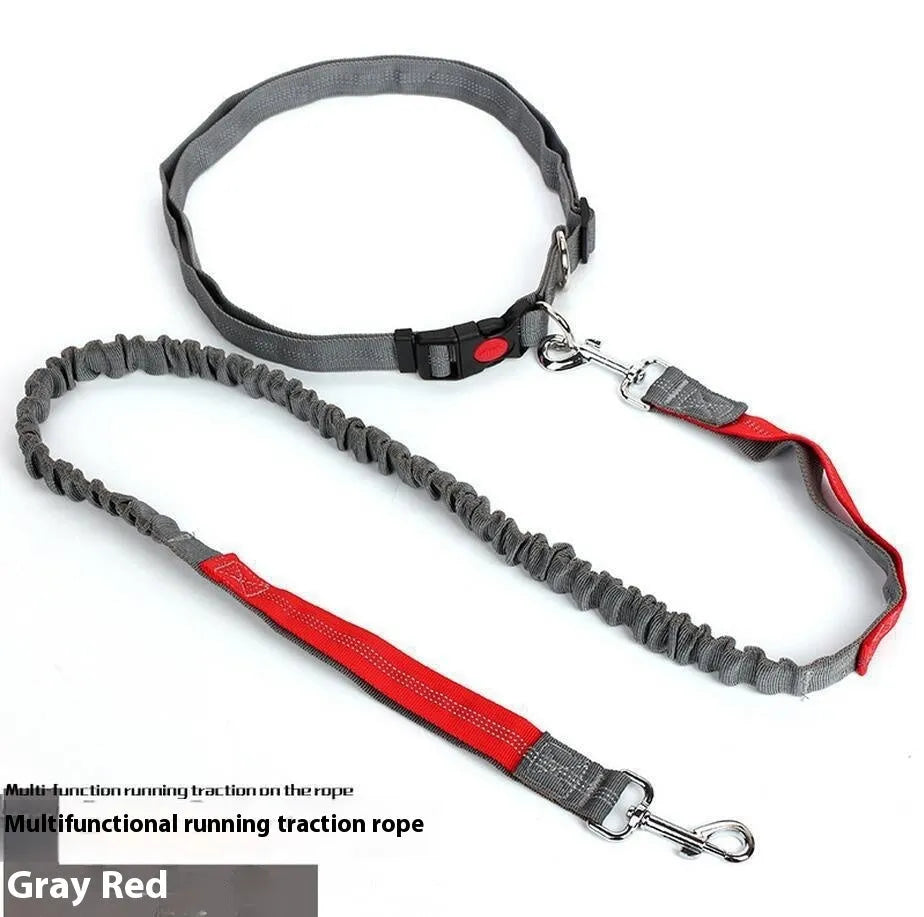 Outdoor running dog leash with reflective strip and elastic sling in a two-tone colour combination.