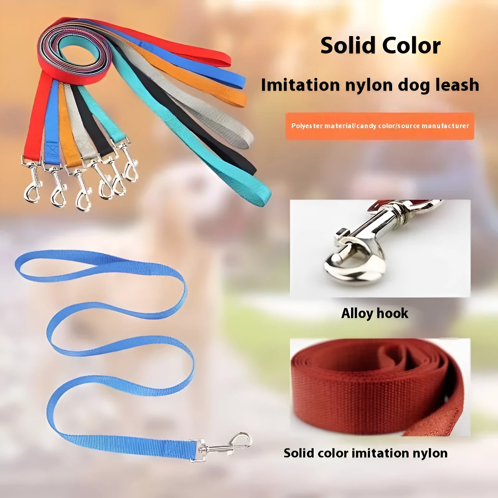 Solid colour polyester dog training rope with hand-holding loop in blue, showing length and simple construction