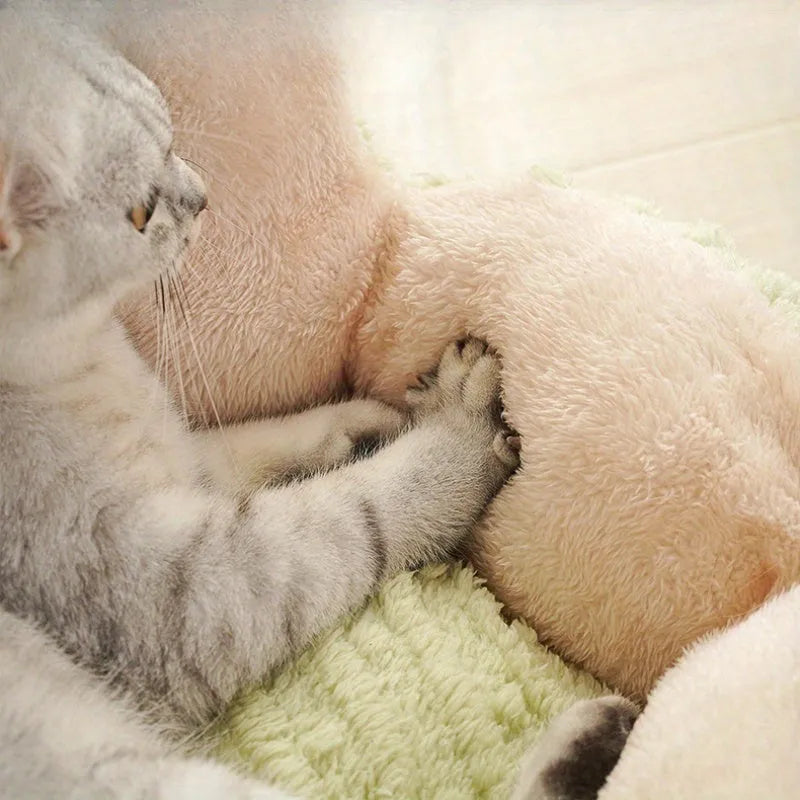 Green or purple cactus-designed soft cat litter kennel showing large and small size options