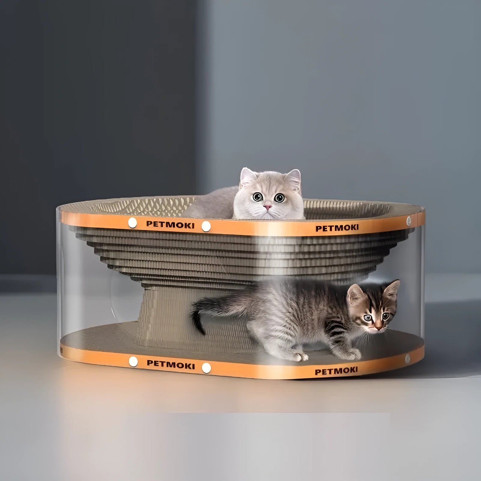 White transparent PVC cat scratch board and nest tunnel with diamond pattern, dimensions 58x45x23cm