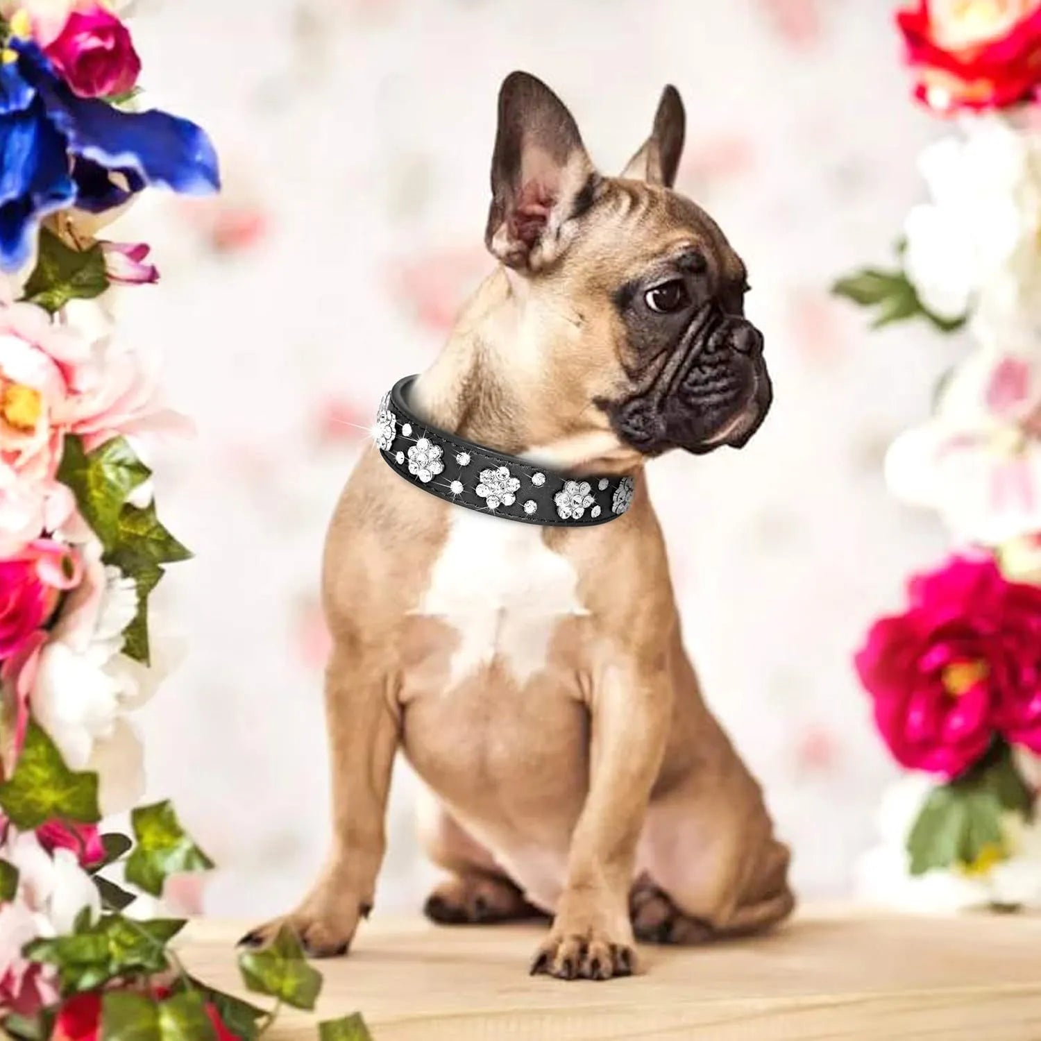 Black dog collar with shiny rhinestone flower pattern and metal D-ring on a soft PU leather strap.