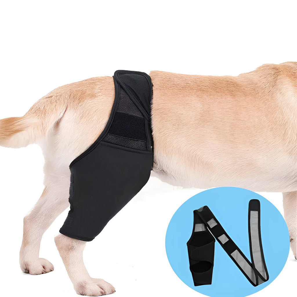 Pet knee pad for dog joint injury recovery with adjustable belt on a light background, S to XL sizes available