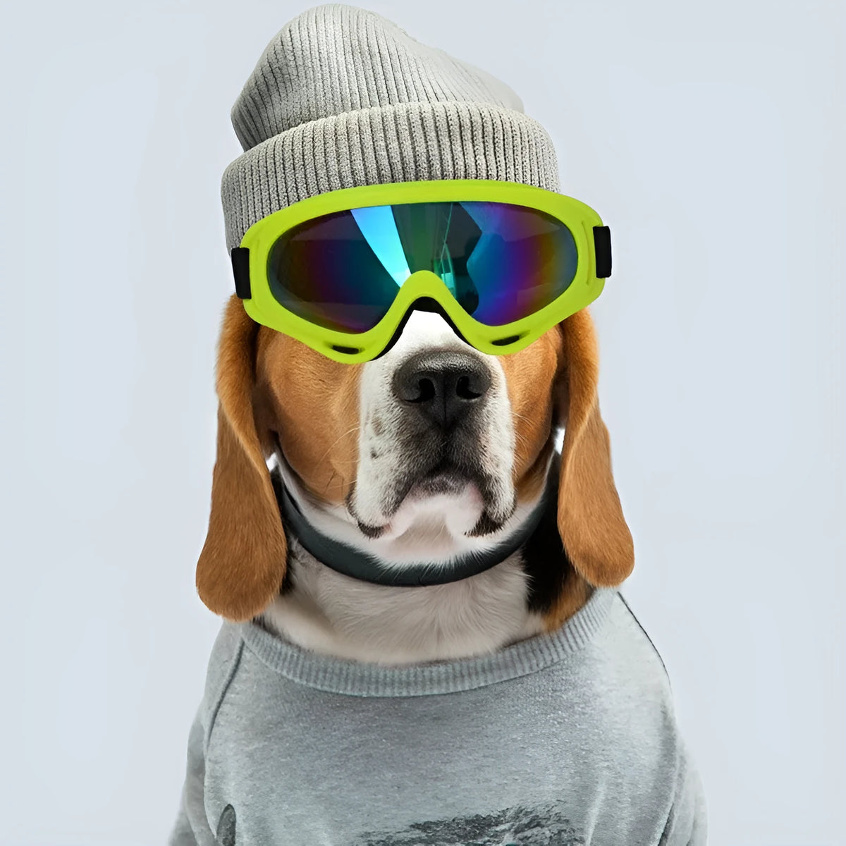 Dog sunglasses with UV400 PC lenses and full frame, shown in black colour option