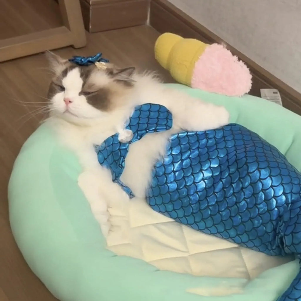 Blue or pink mermaid costume with scaly tail and bow on a small cat or dog