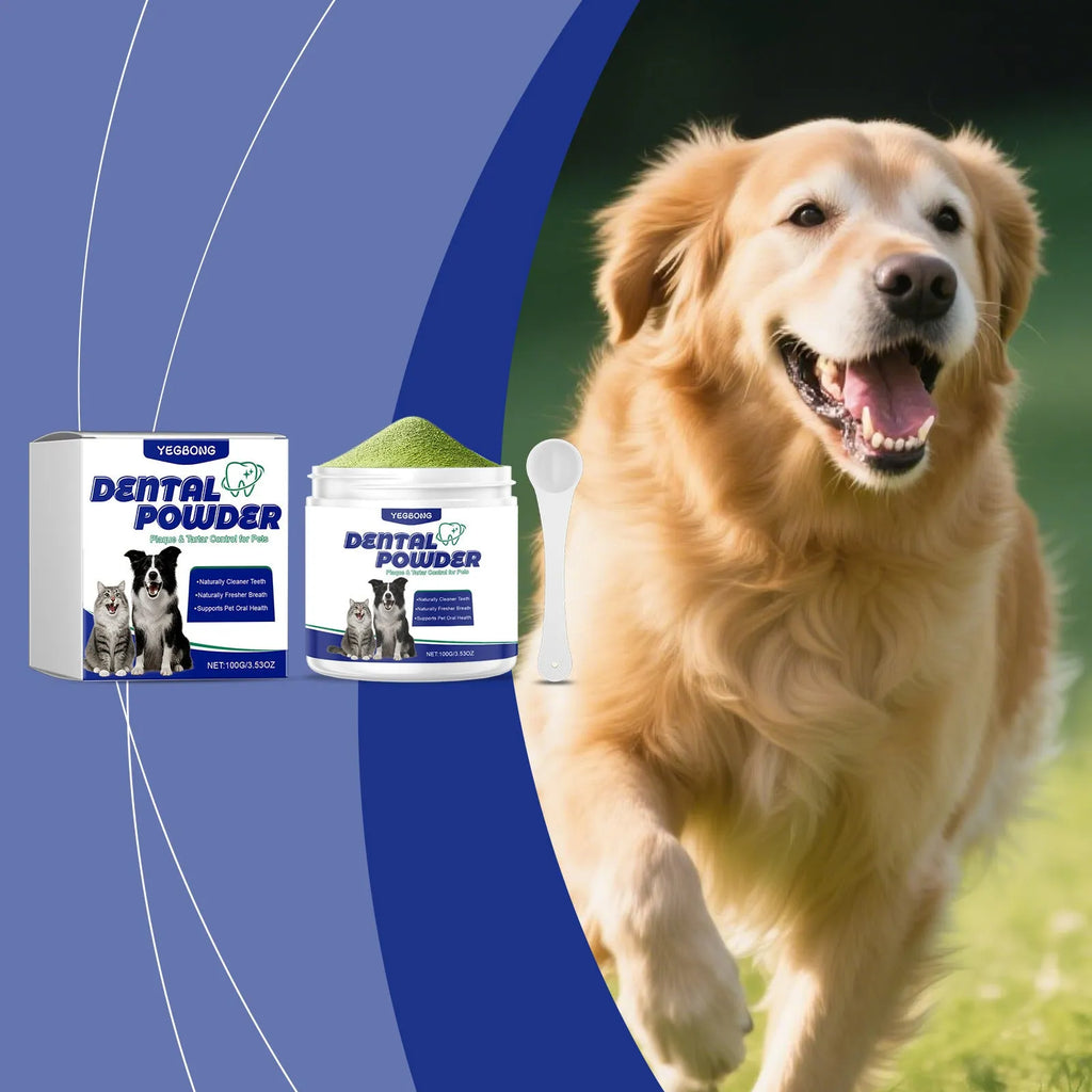 Pet tooth cleaning powder pack 100g for dogs and cats dental care