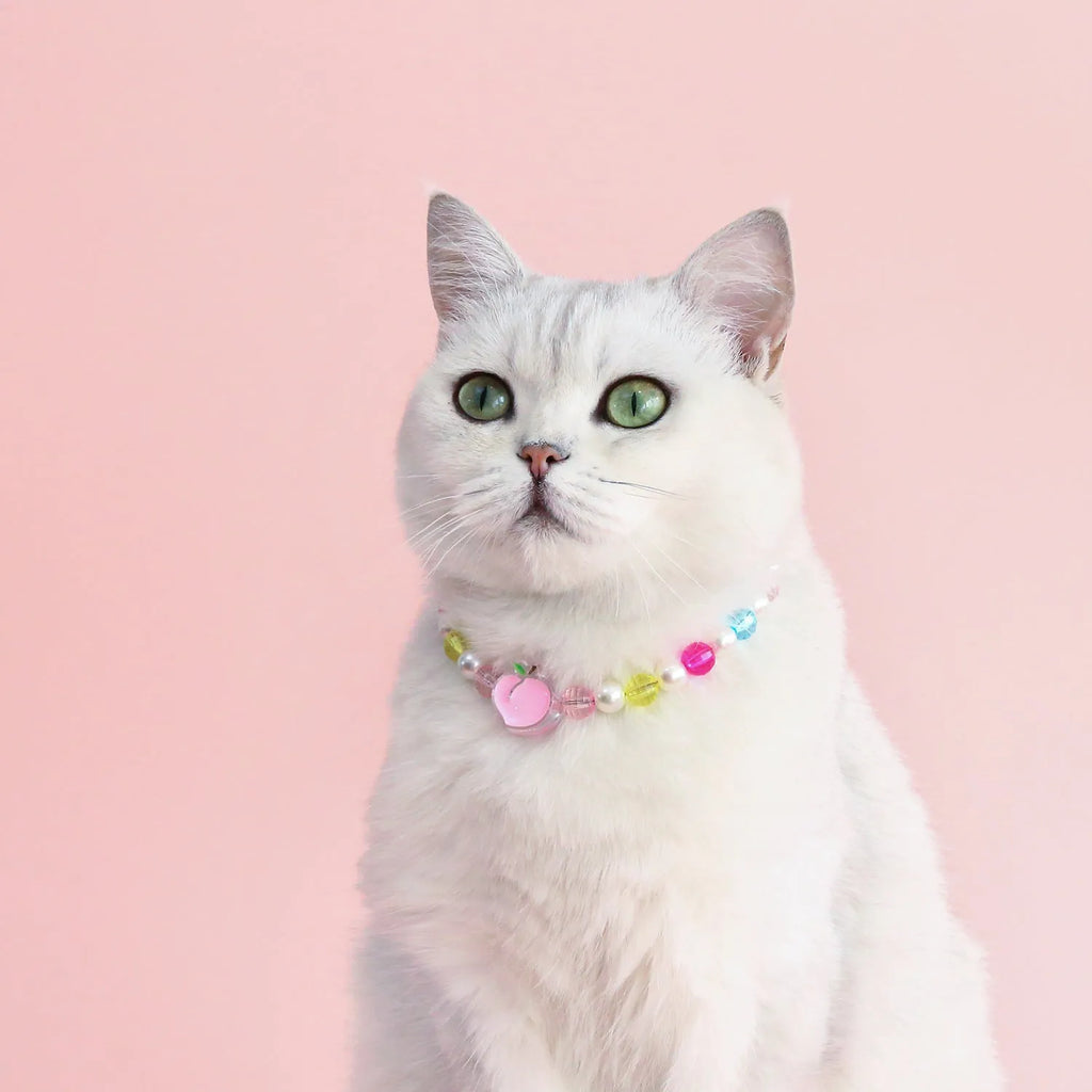 Colourful plastic bead necklace for small pets with peach, rainbow, or small flower pattern options.