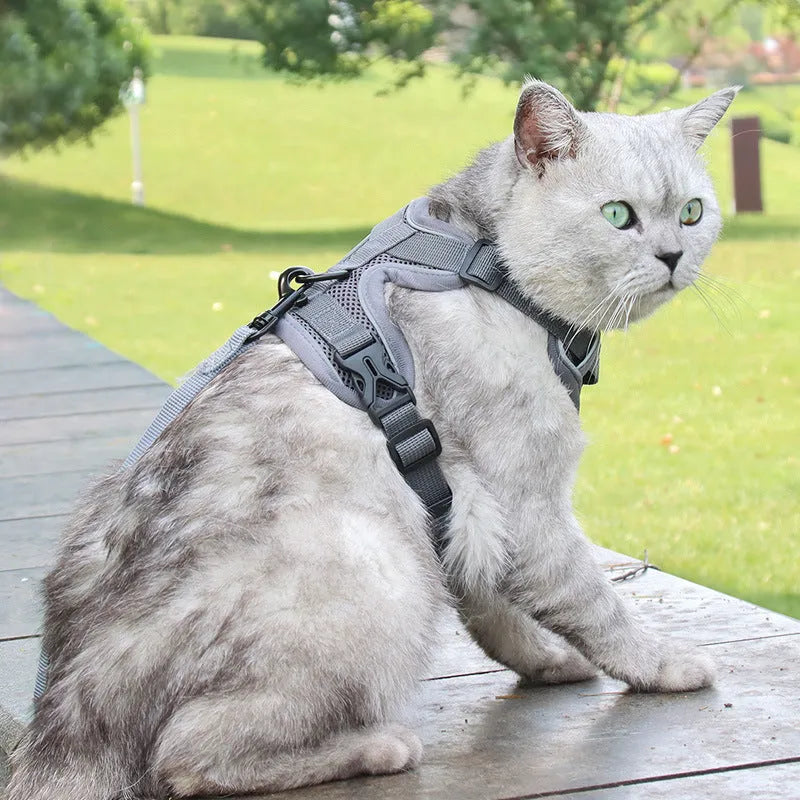 Cat anti-breakaway chest harness and 1.5-metre flat rope set in six colour options for cats 4.5-22+ jins